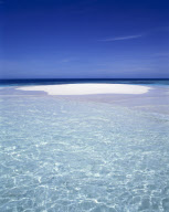 The Maldives Indian