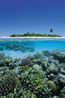 The Maldives Indian