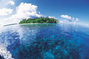The Maldives Indian