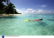 THE MALDIVES