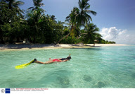 THE MALDIVES