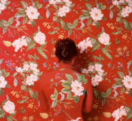 Artist disguised by body paint disappears into the background of her artwork, Philadelphia, America  - 25 Jan 2012