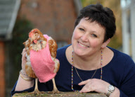 Former battery hens wear knitted jumpers to keep warm, Hadleigh, Suffolk, Britain - 26 Jan 2012