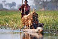 Wildfowl & Wetlands Trust (WWT) photographic competition to celebrate World Wetland's Day, Britain - 02 Feb 2012
