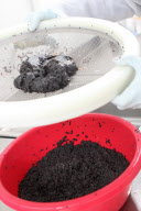 EXCLUSIVE - the Caviare Perlita Rare of Bassin d Arcachon in Aquitaine.