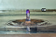Photographer captures exact moment pellet fired from an airgun speeds through water drop, America - Feb 2012