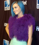 DIRECTV's Sixth Annual Celebrity Beach Bowl After Party
