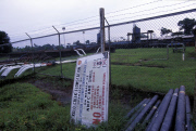 Shell oil in Nigeria - oil leaks and the environmental impact in the Niger Delta