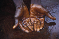 Shell oil in Nigeria - oil leaks and the environmental impact in the Niger Delta