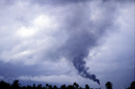 Shell oil in Nigeria - oil leaks and the environmental impact in the Niger Delta