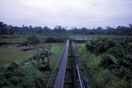 Shell oil in Nigeria - oil leaks and the environmental impact in the Niger Delta