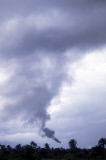 Shell oil in Nigeria - oil leaks and the environmental impact in the Niger Delta