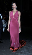 amFAR Benefit Gala, New York, America - 08 Feb 2012