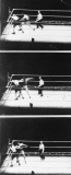 Boxer Max Baer 1909 - 1959 