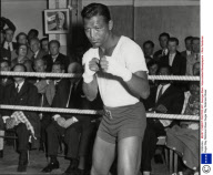 Sugar Ray Robinson Boxer
