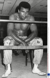 PEOPLE - Muhammad Ali im Alter von 74 gestorben (Archiv Bilder)