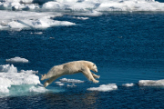 Paul Goldstein 'In The Air' themed images - 13 Feb 2012