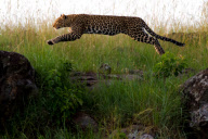 Paul Goldstein 'In The Air' themed images - 13 Feb 2012