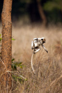 Paul Goldstein 'In The Air' themed images - 13 Feb 2012
