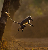 Paul Goldstein 'In The Air' themed images - 13 Feb 2012
