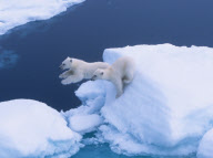 Paul Goldstein 'In The Air' themed images - 13 Feb 2012