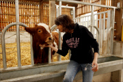 Chrissie Hynde photographed at cruelty free farm, Bhaktivedanta Manor, north London.