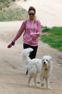 Olivia Wilde Takes Her Furry Friend For A Hike.