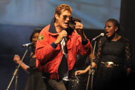 David Hasselhoff In Concert