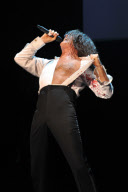 David Hasselhoff In Concert