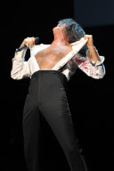 David Hasselhoff In Concert