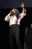 David Hasselhoff In Concert