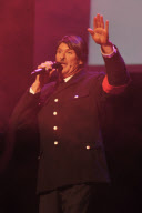 David Hasselhoff In Concert