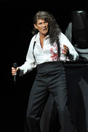 David Hasselhoff In Concert