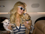 GREAT CELEBRITY TWITTER PICTURES!
