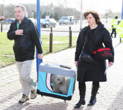 Crufts Dog Show, NEC Birmingham, Britain - 08 Mar 2012