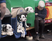 Crufts Dog Show, NEC Birmingham, Britain - 08 Mar 2012
