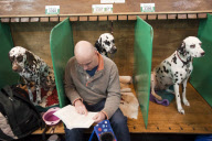 Crufts Dog Show, NEC Birmingham, Britain - 08 Mar 2012