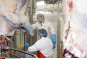 FRANCE: Illustration Slaughter controversy