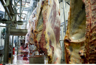 FRANCE: Illustration Slaughter controversy