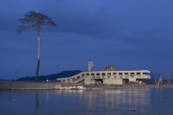 Pine tree becomes symbol of hope in tsunami ravaged Japan
