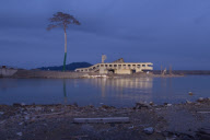 Pine tree becomes symbol of hope in tsunami ravaged Japan