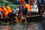 Dozens Killed After Bangladesh Ferry Capsizes
