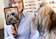 Hund Lucy beim Anpassen einer Sonnenbrille im Optiker Sehwerk in Berlin