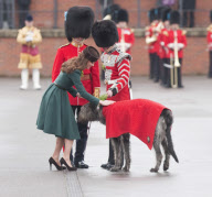 Catherine Duchess of Cambridge Presenting Shamrock to 1st Battalion Irish Guards on St Patricks Day, Aldershot, Britain - 17 Mar 2012
