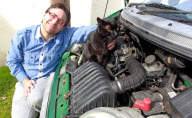 Sieben Tage vermisst: Kater Draco überlebte zwei Fahrten unter der Motorhaube von Nachbars Auto in Harberton