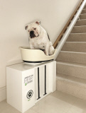 World's first stair lift for overweight dogs - Mar 2012