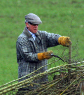 Prinz Charles bei der Gartenarbeit im Highgrove House  in Gloucestershire