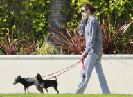 Exclusive: Elisabetta Canalis Takes Her Dogs For A Stroll 