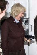 Prince Charles and Camilla Duchess of Cornwall Tour of Scandinavia, Copenhagen, Denmark - 27 Mar 2012