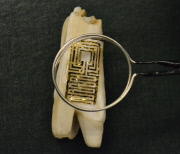 Tooth tattoos can tell when your ill, Princeton, America - Apr 2012